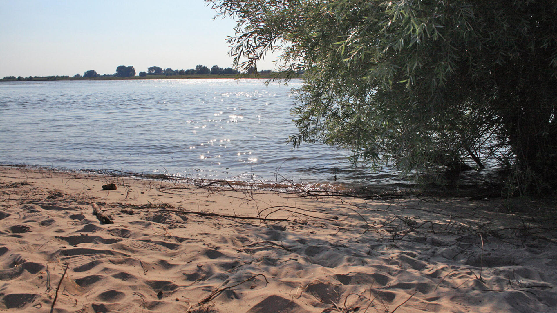Wetlands Passewaaij